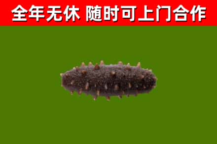 东营区烟酒回收干海参.jpg